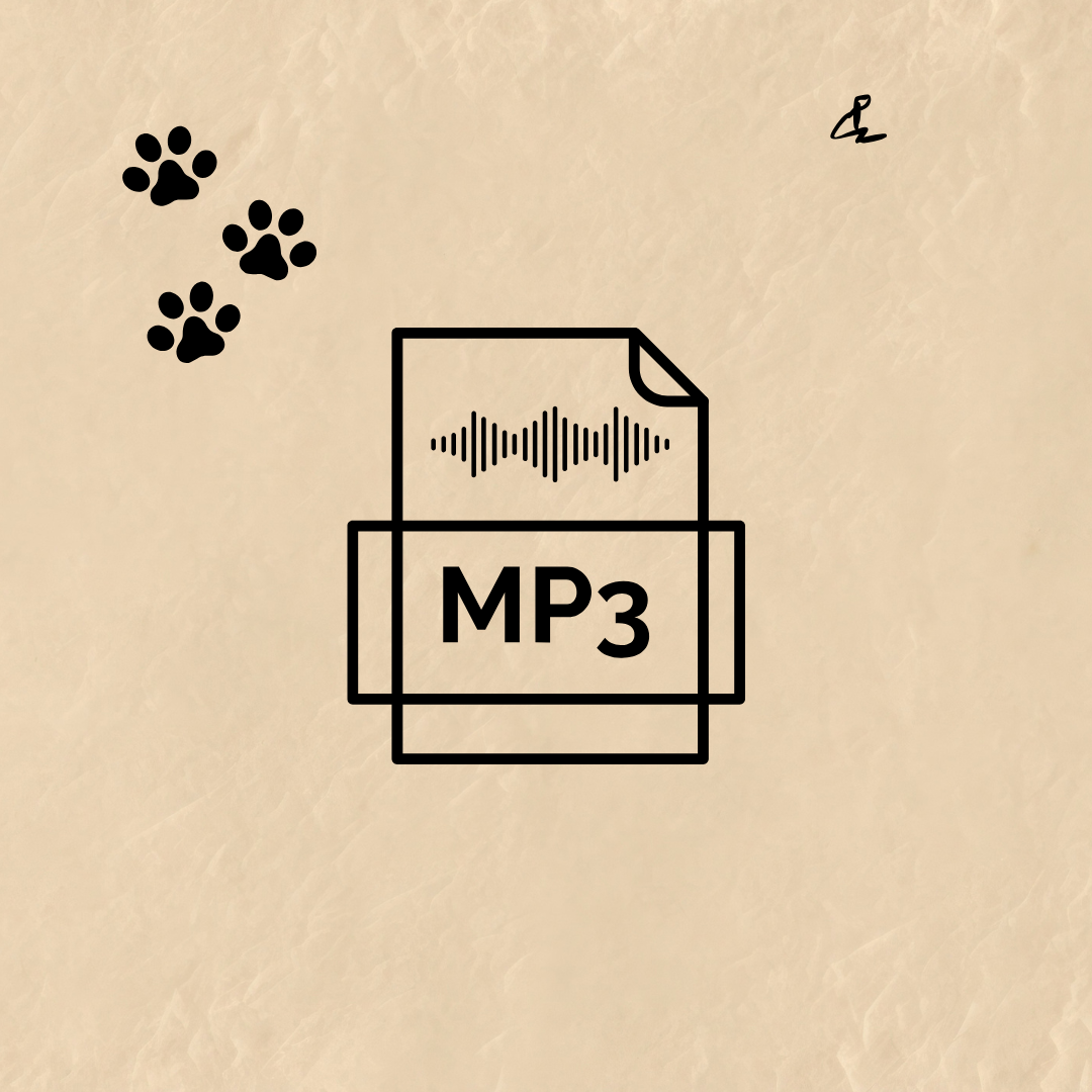 (Pre-sale) I’m worried about the matter of consequences | Phuong Le Memo