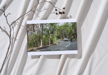 Nature Pictures Bundle: Greeting Cards & PC Wallpaper